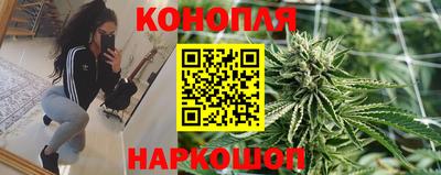 2c-b Новозыбков