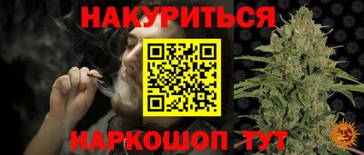 спиды Новодвинск