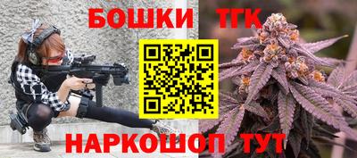 спиды Новодвинск