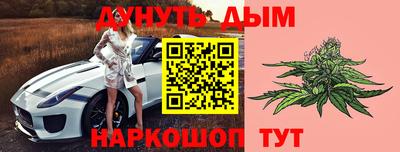 2c-b Новозыбков