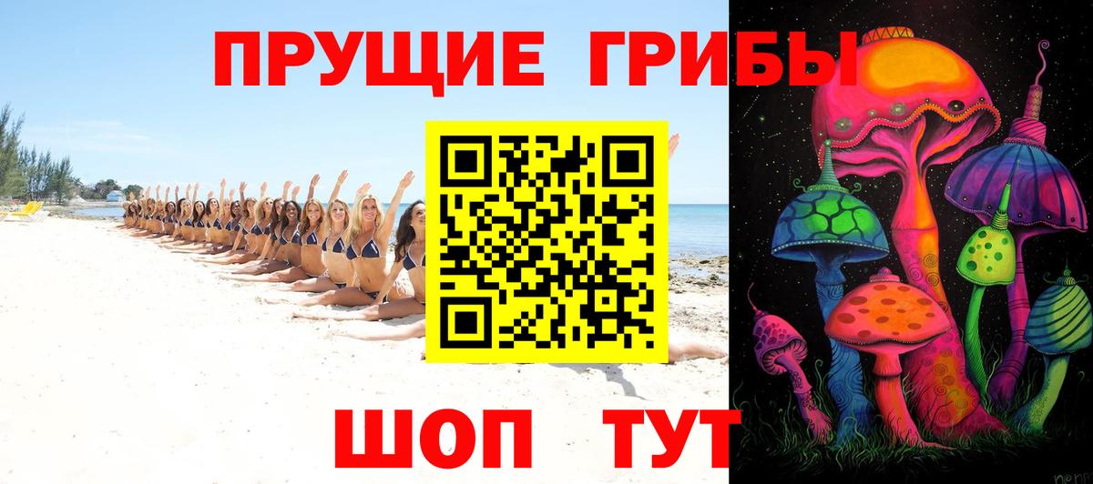 Кувандык  Галлюциногенные грибы Psilocybe  Вход с VPN 